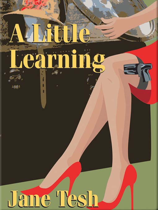 Title details for A Little Learning by Jane Tesh - Wait list